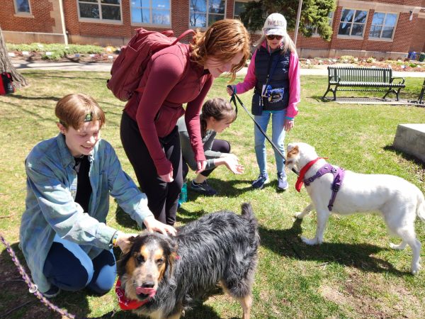 2024 Wellness Week Caring Canines Pictured