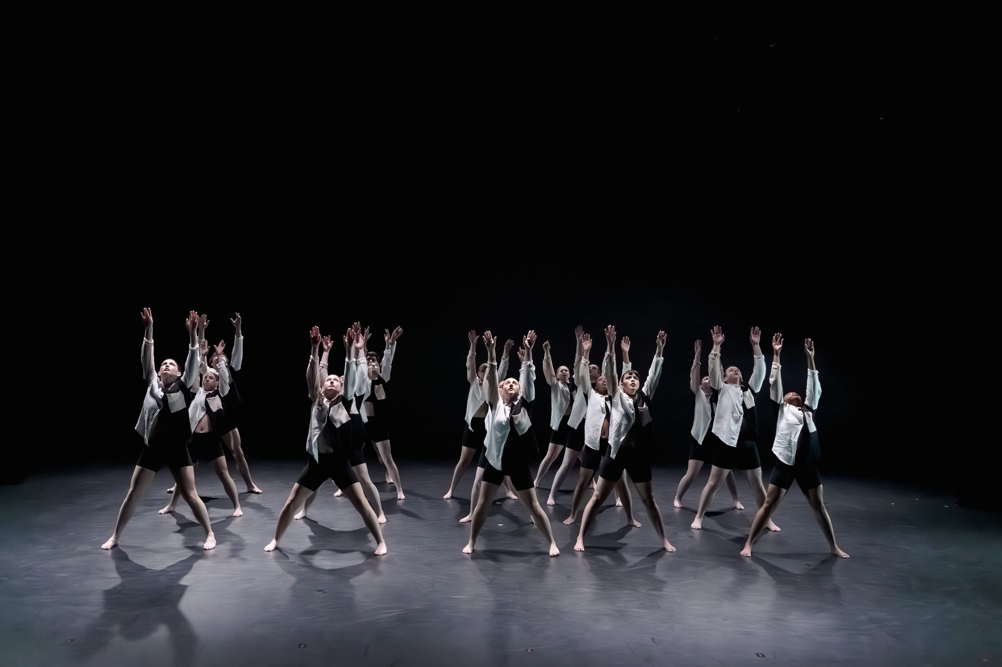 Fall Dance Capstone Concert